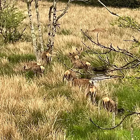 Εξοχικό σπίτι Fox Corner, Ambleside, Romantic Retreat For Two, Dog Friendly, Hot Tub *