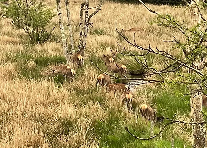 Εξοχικό σπίτι Fox Corner, Ambleside, Romantic Retreat For Two, Dog Friendly, Hot Tub *